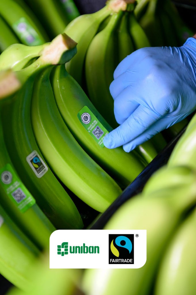 Uniban fairtrade bananas